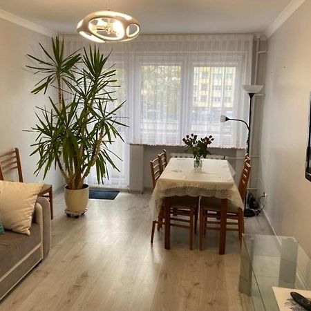 Apartament Przy Katedrze 乔左维尔考普尔斯基 外观 照片