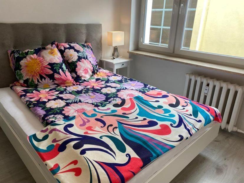 Apartament Przy Katedrze 乔左维尔考普尔斯基 外观 照片