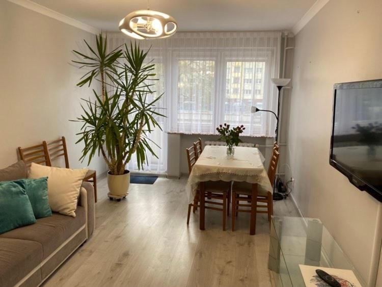 Apartament Przy Katedrze 乔左维尔考普尔斯基 外观 照片