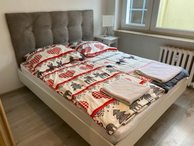Apartament Przy Katedrze 乔左维尔考普尔斯基 外观 照片